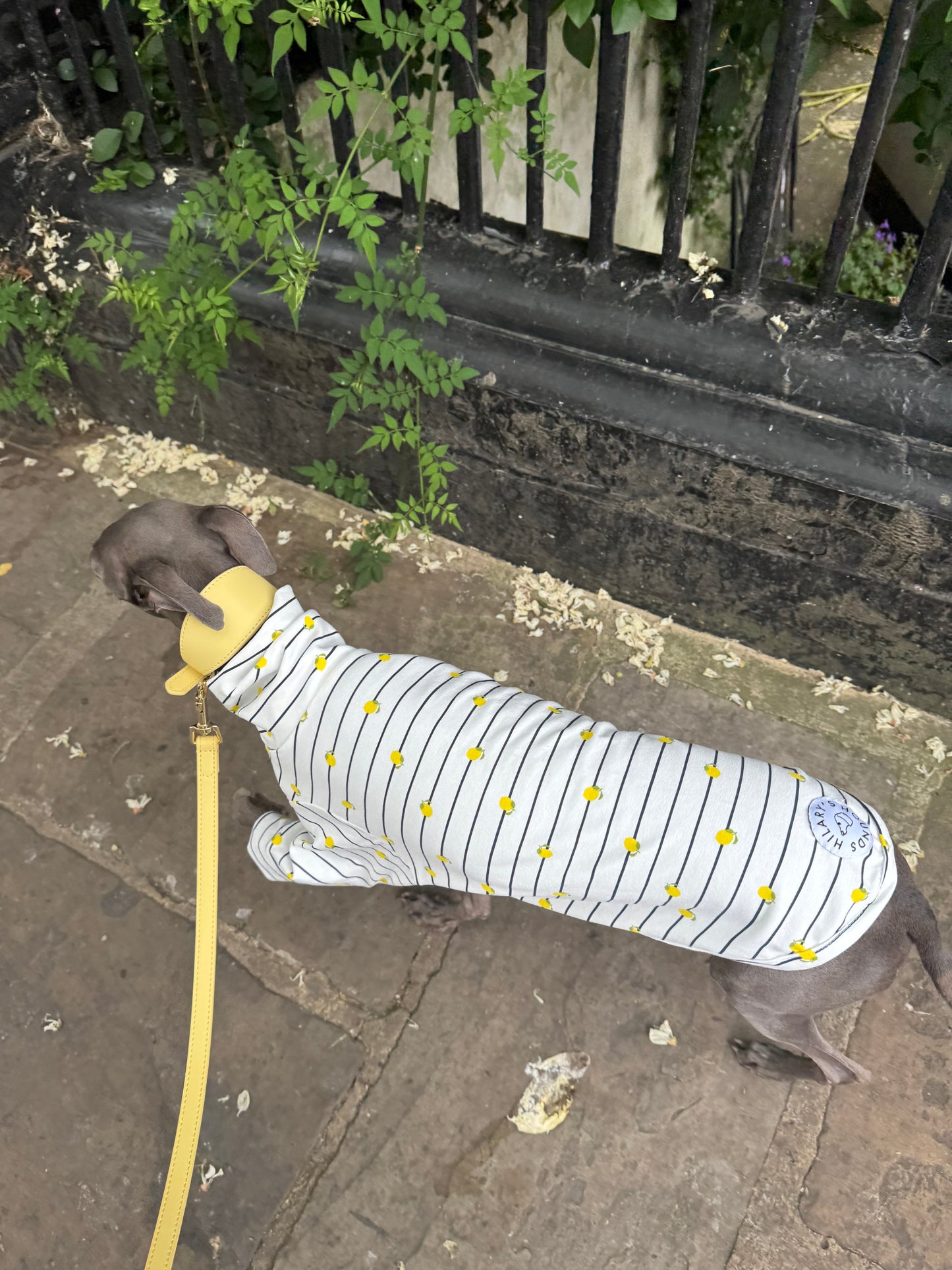 Italian Riviera- Striped Little Lemon Jersey