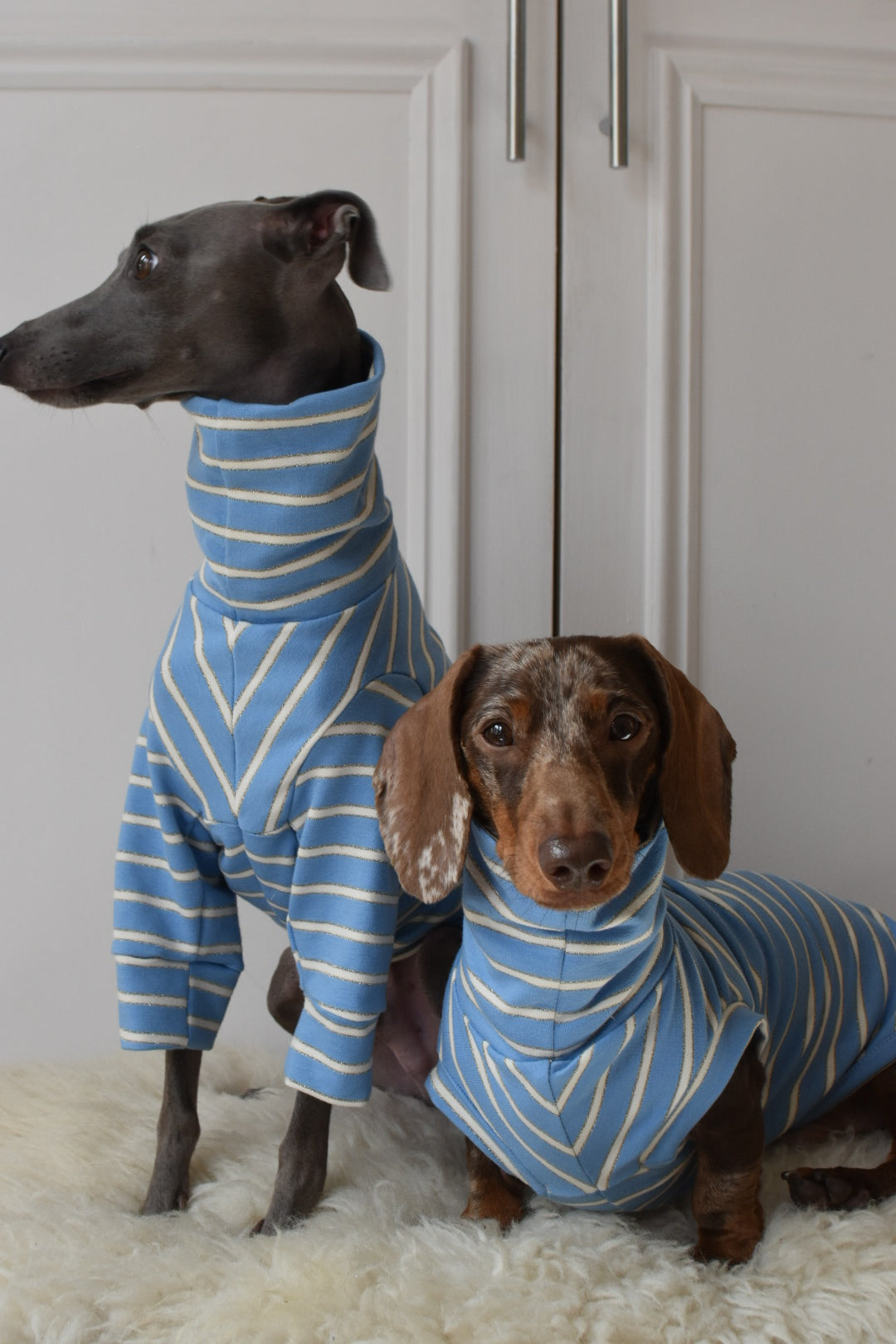 Sparkle Stripe Jersey