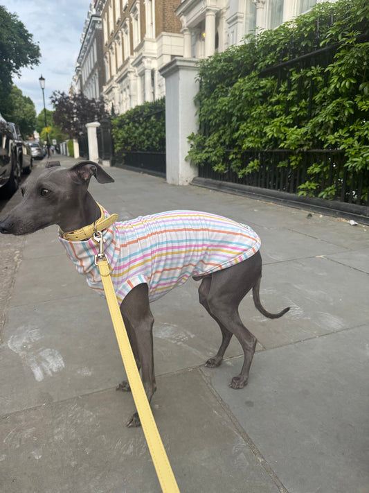 Pastel Stripe Jersey