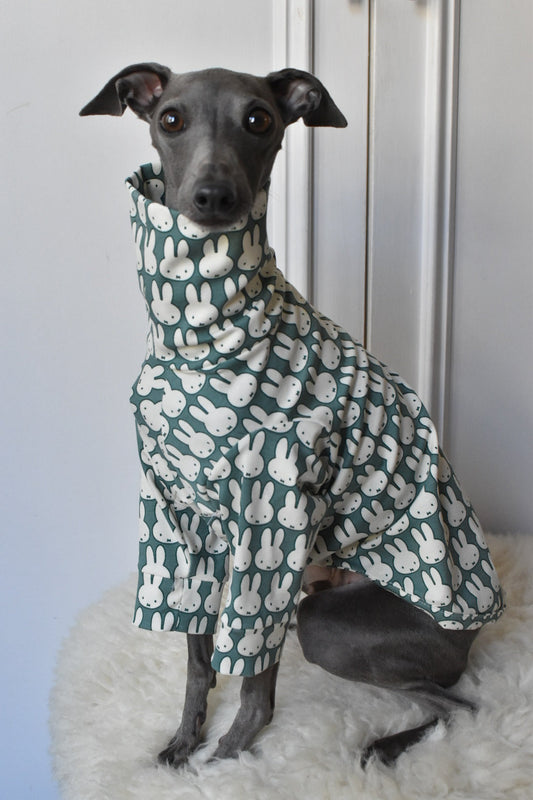 Ltd Edition Miffy Rabbit Jersey