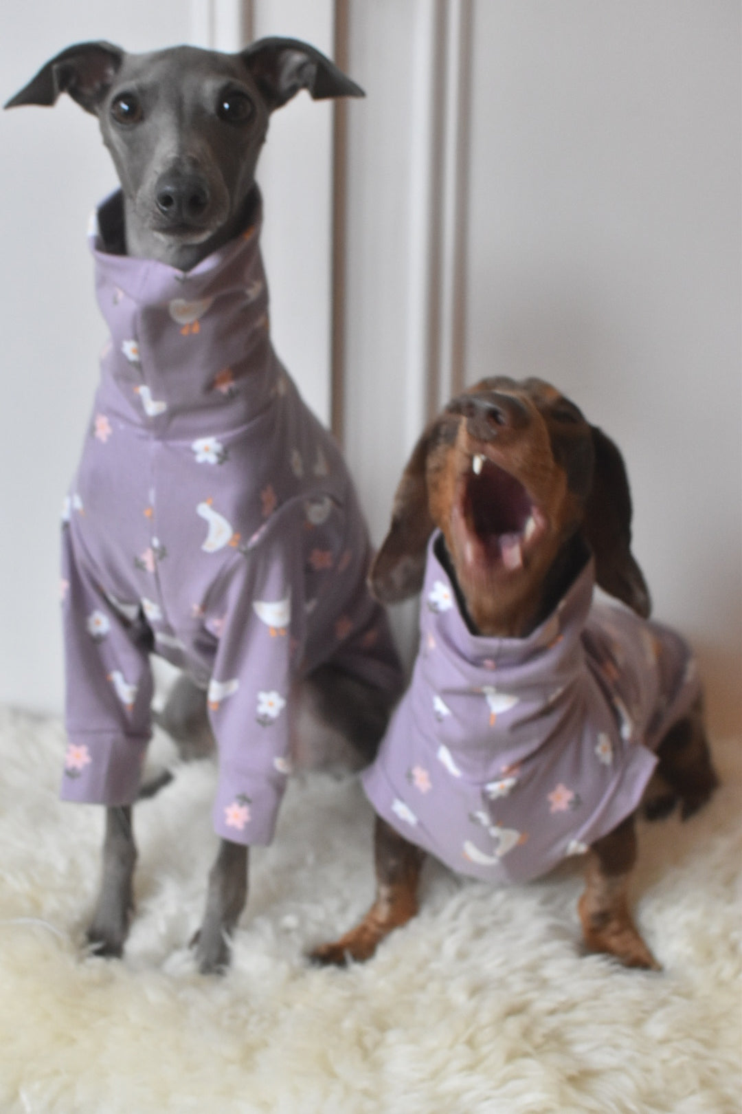 Silly Goose Lilac Jersey