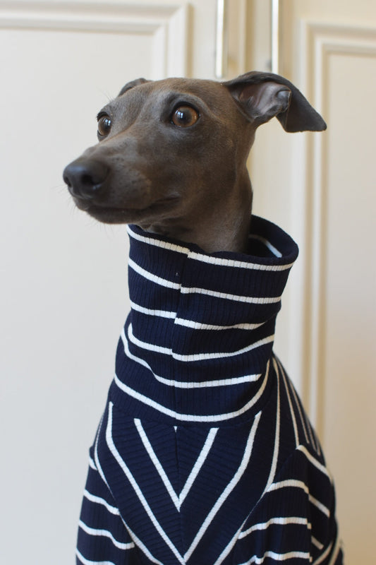 Oh La La Navy Stripe Jersey