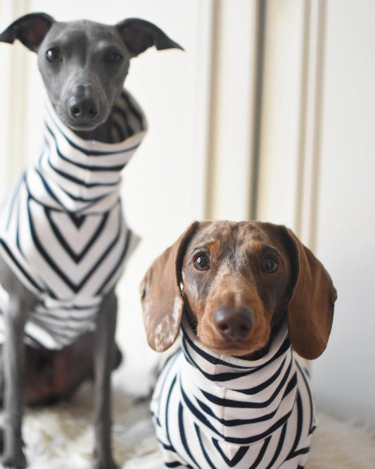 Classic Breton Jersey