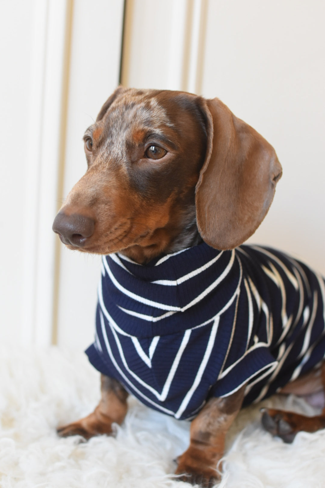 Oh La La Navy Stripe Jersey