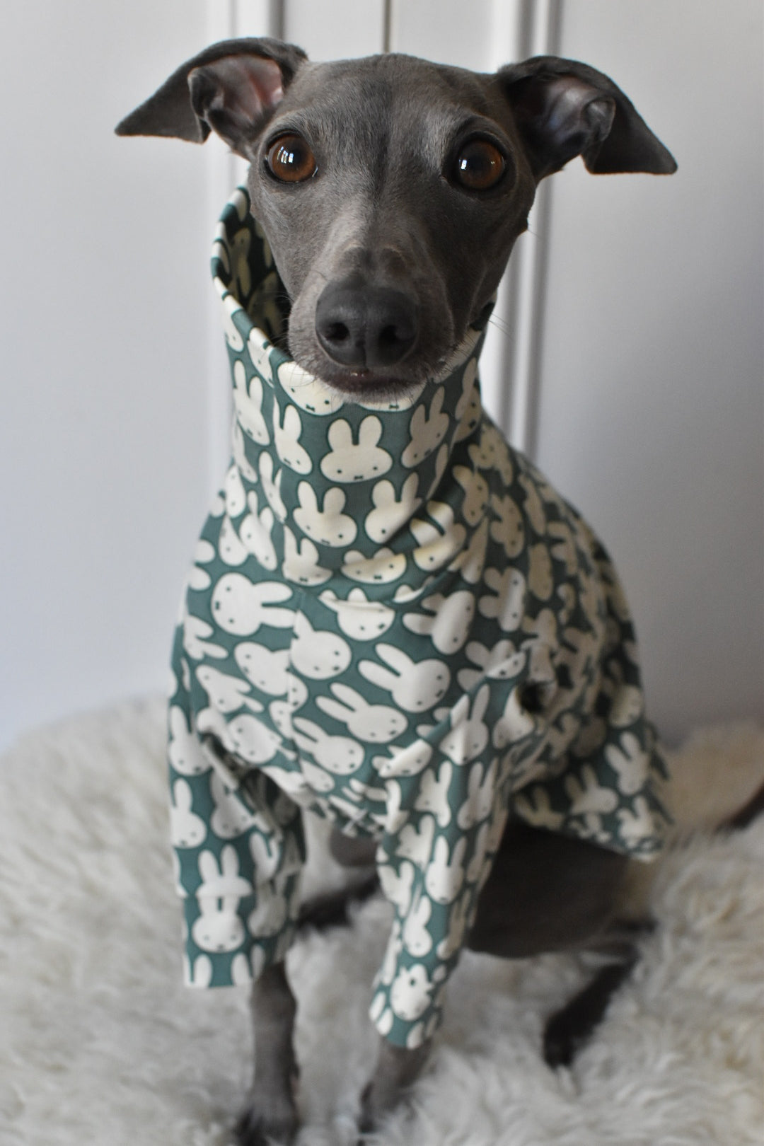 Ltd Edition Miffy Rabbit Jersey