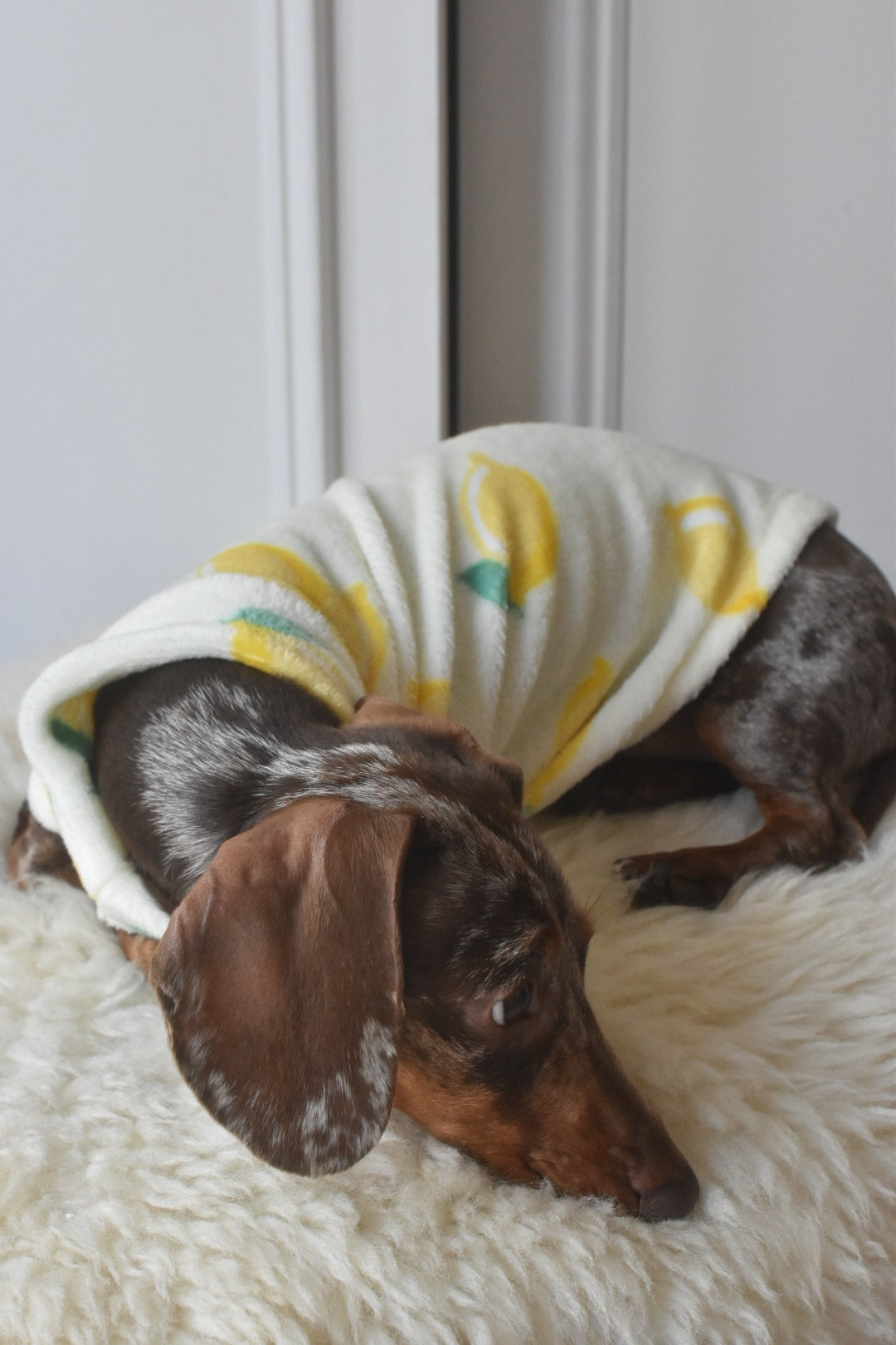 Italian Riviera- Lemon Fleece