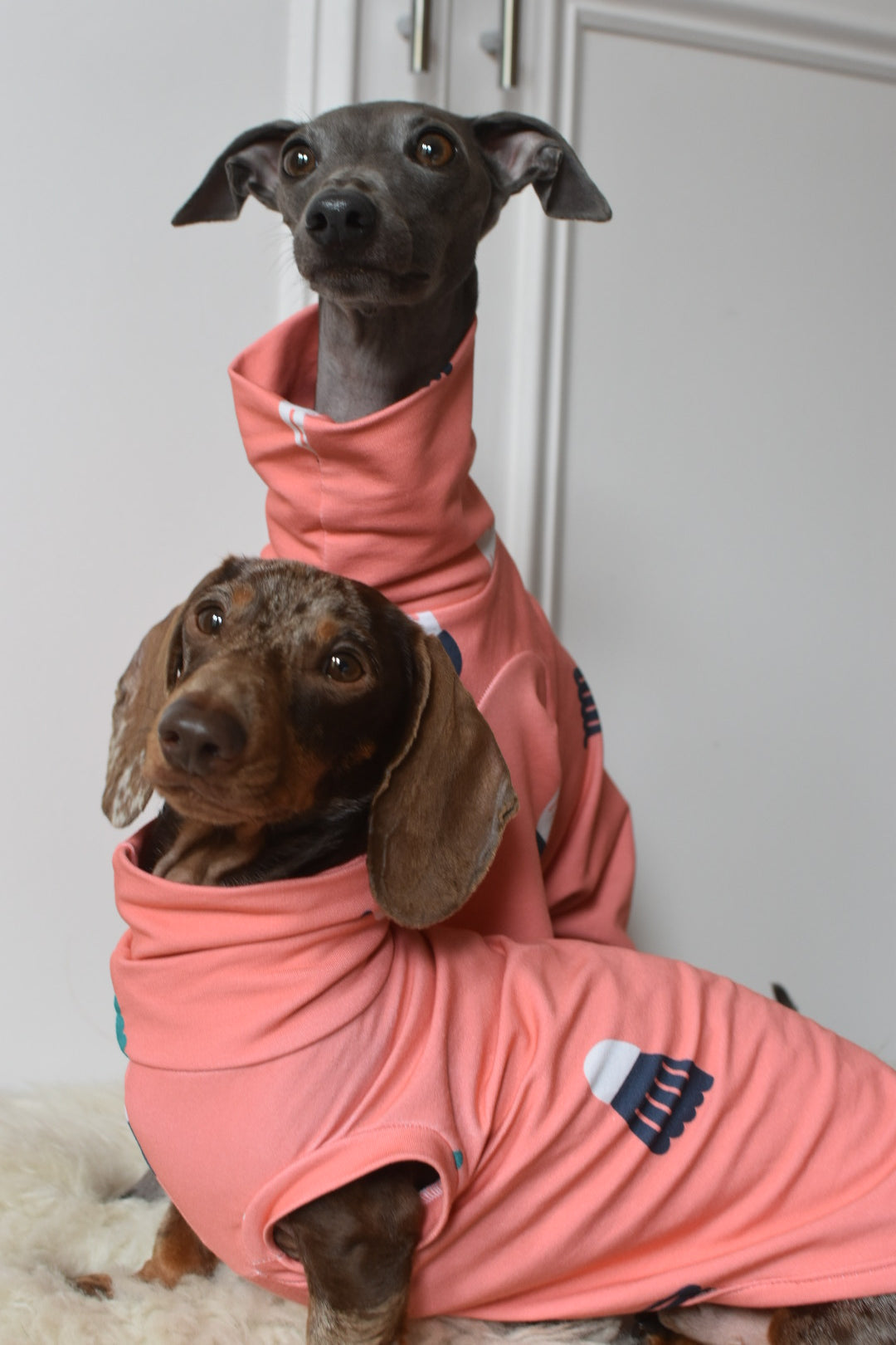 Sports Series Jersey 🎾 🏸