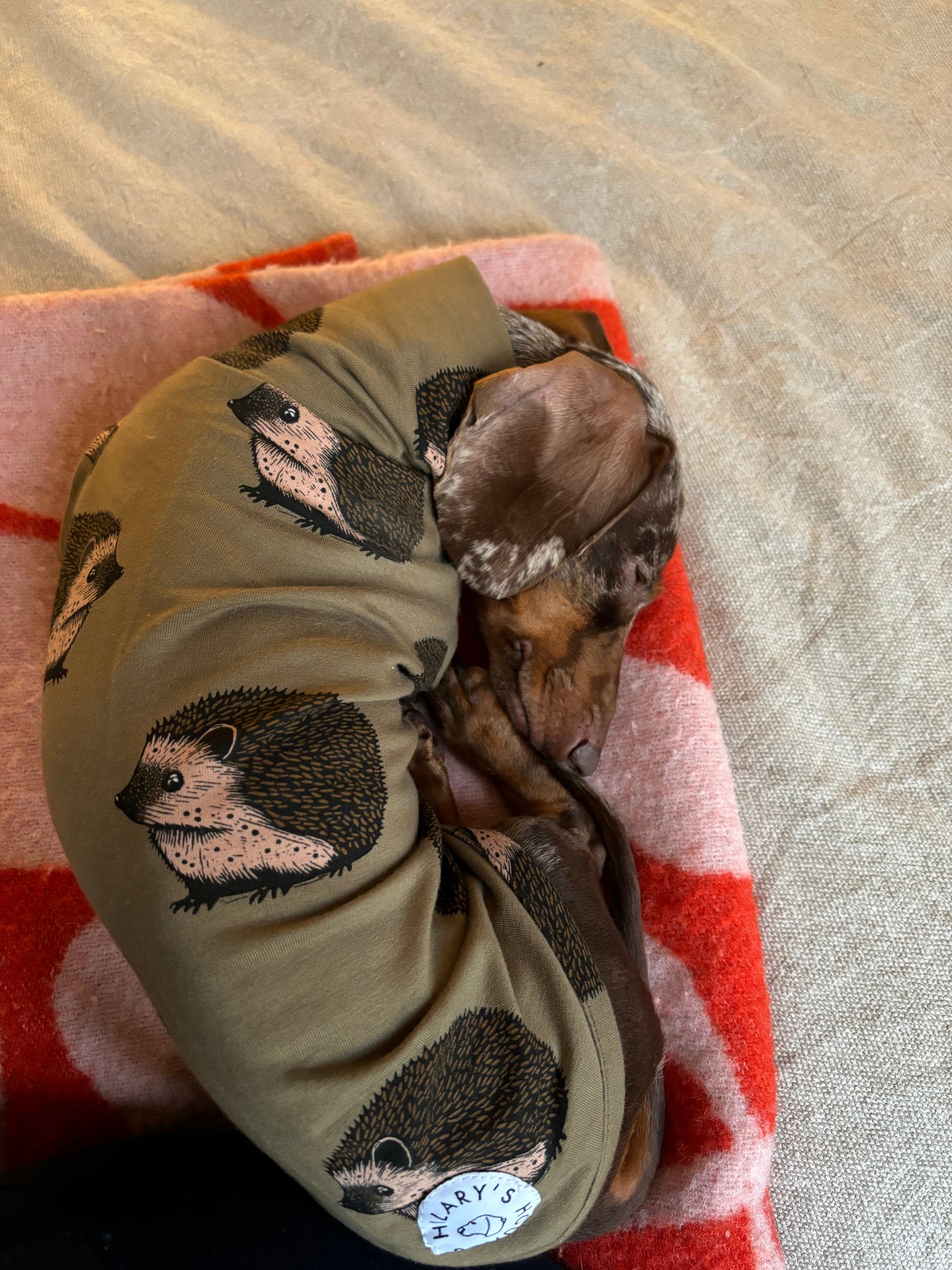 Jungle Jerseys ( Tiger, Bear, Hedgehog)