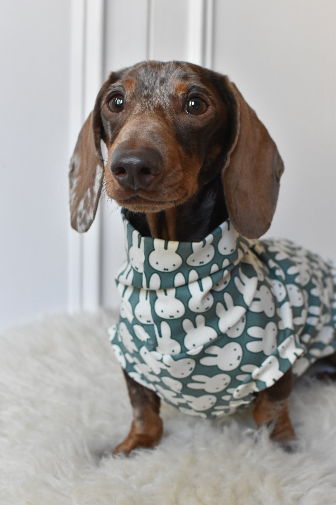 Ltd Edition Miffy Rabbit Jersey