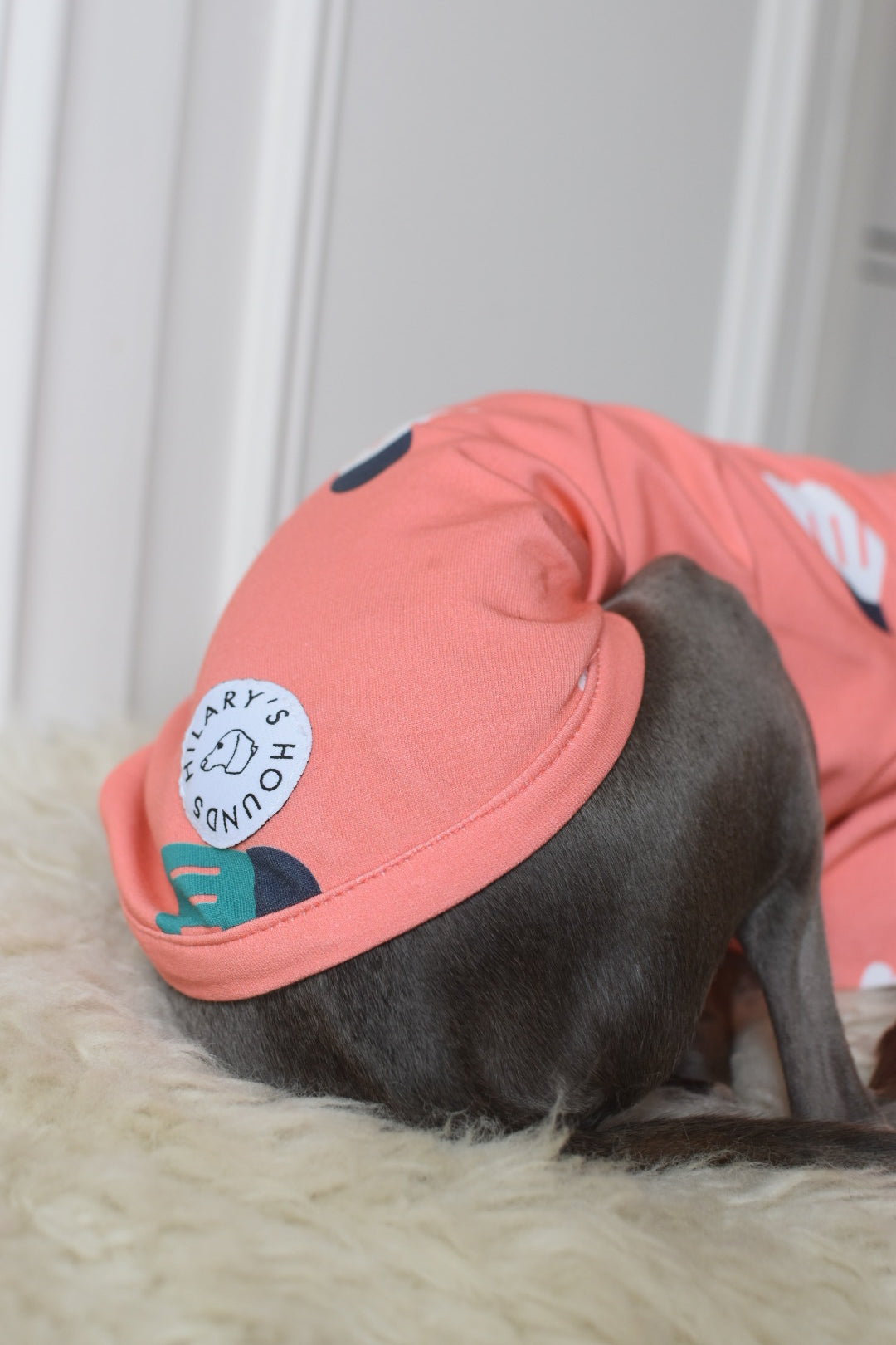 Sports Series Jersey 🎾 🏸