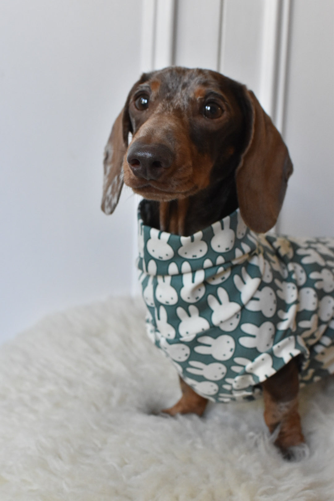 Ltd Edition Miffy Rabbit Jersey