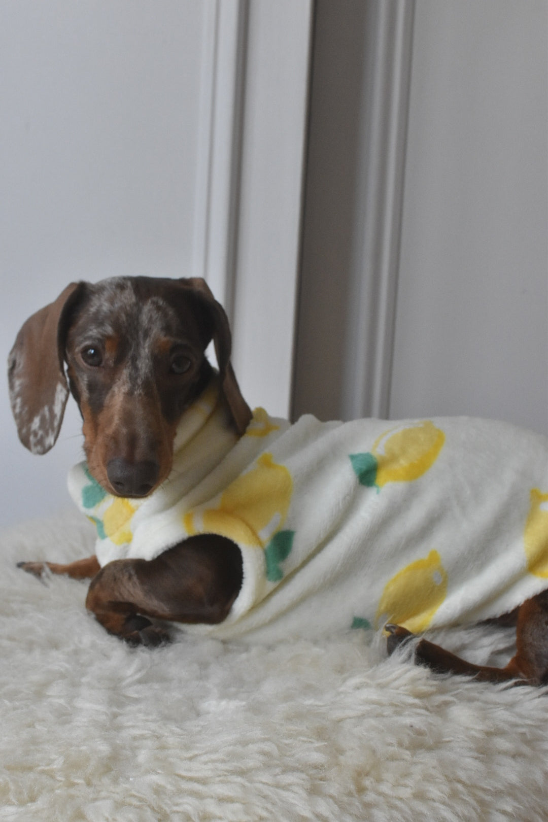 Italian Riviera- Lemon Fleece