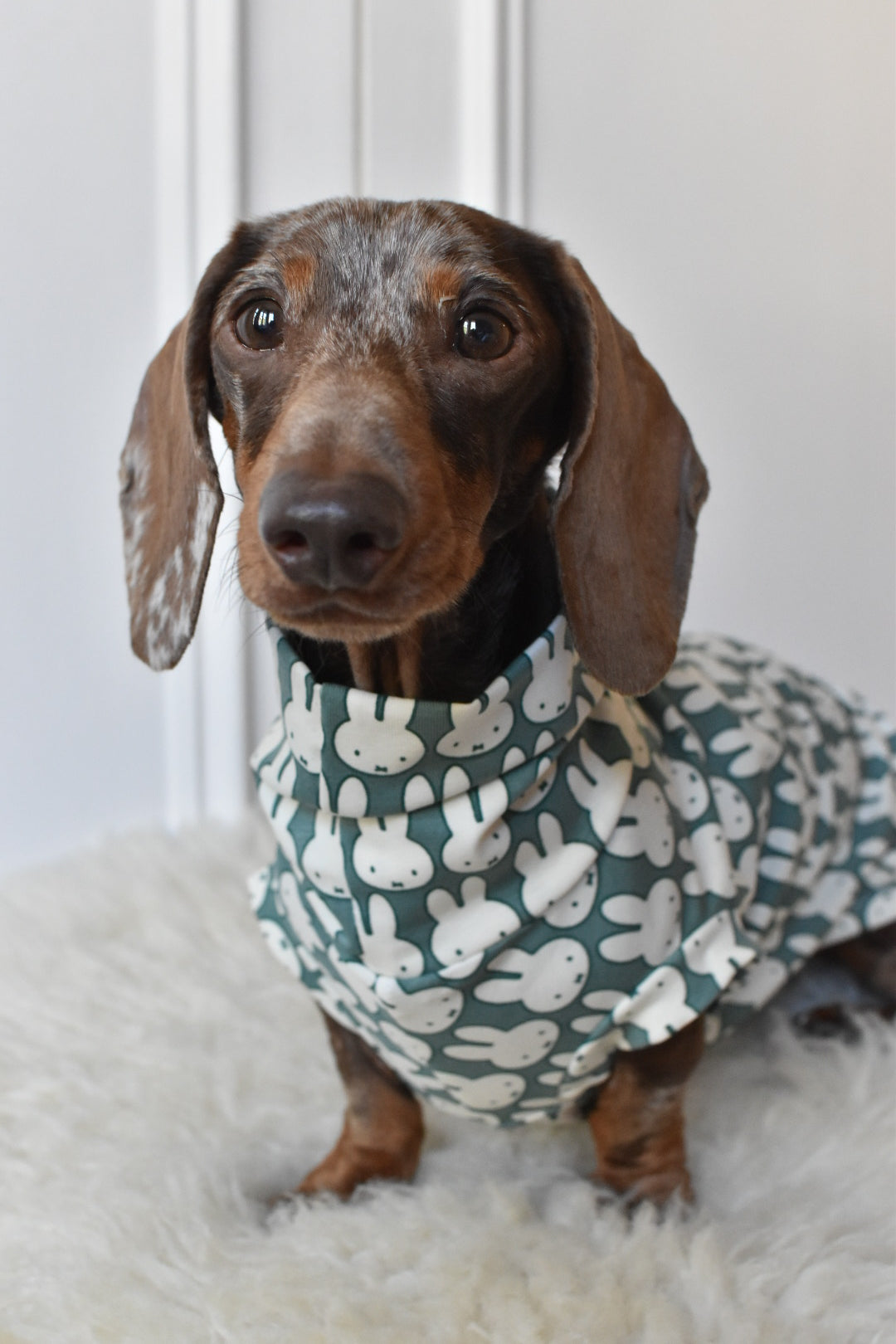 Ltd Edition Miffy Rabbit Jersey