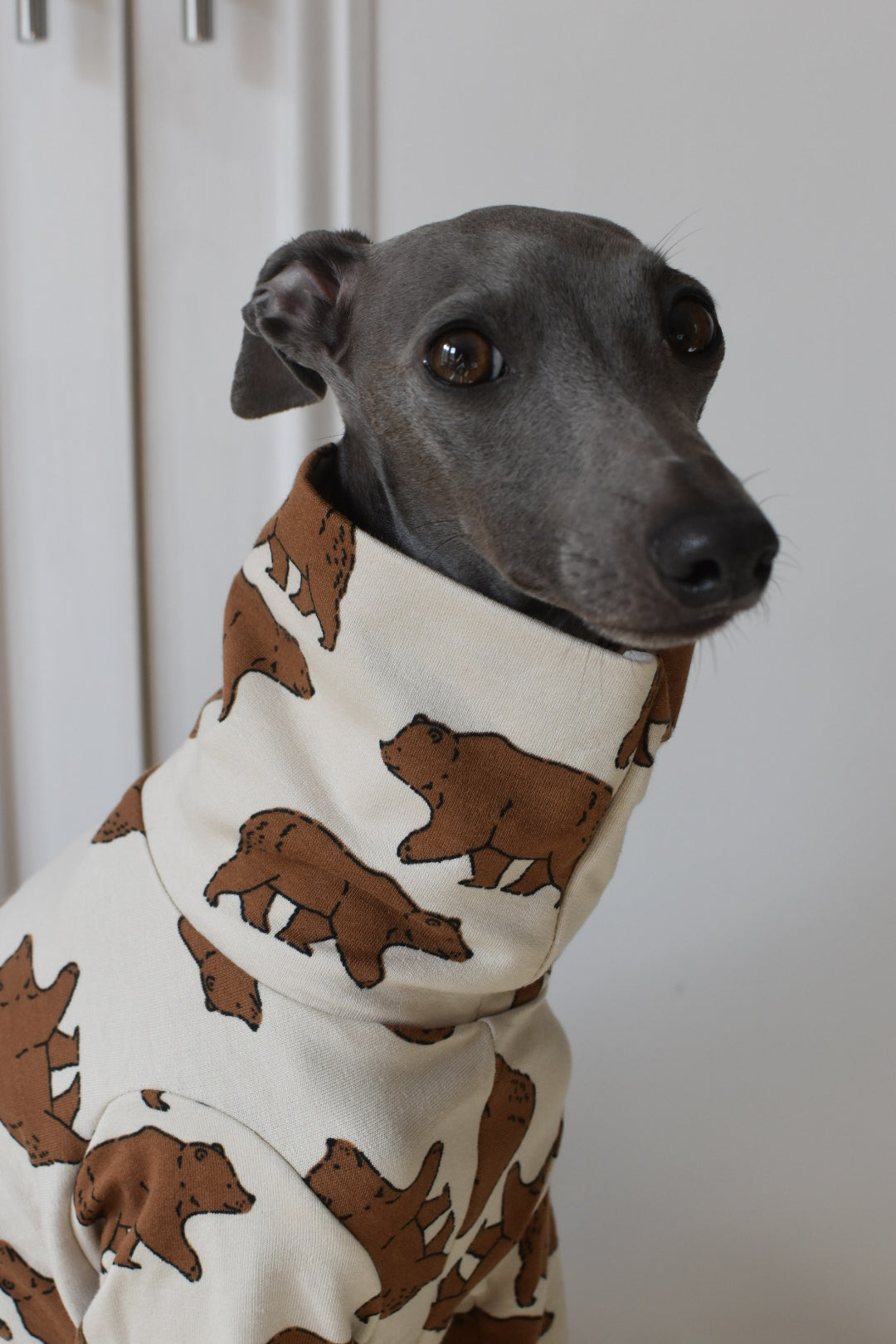 Jungle Jerseys ( Tiger, Bear, Hedgehog)