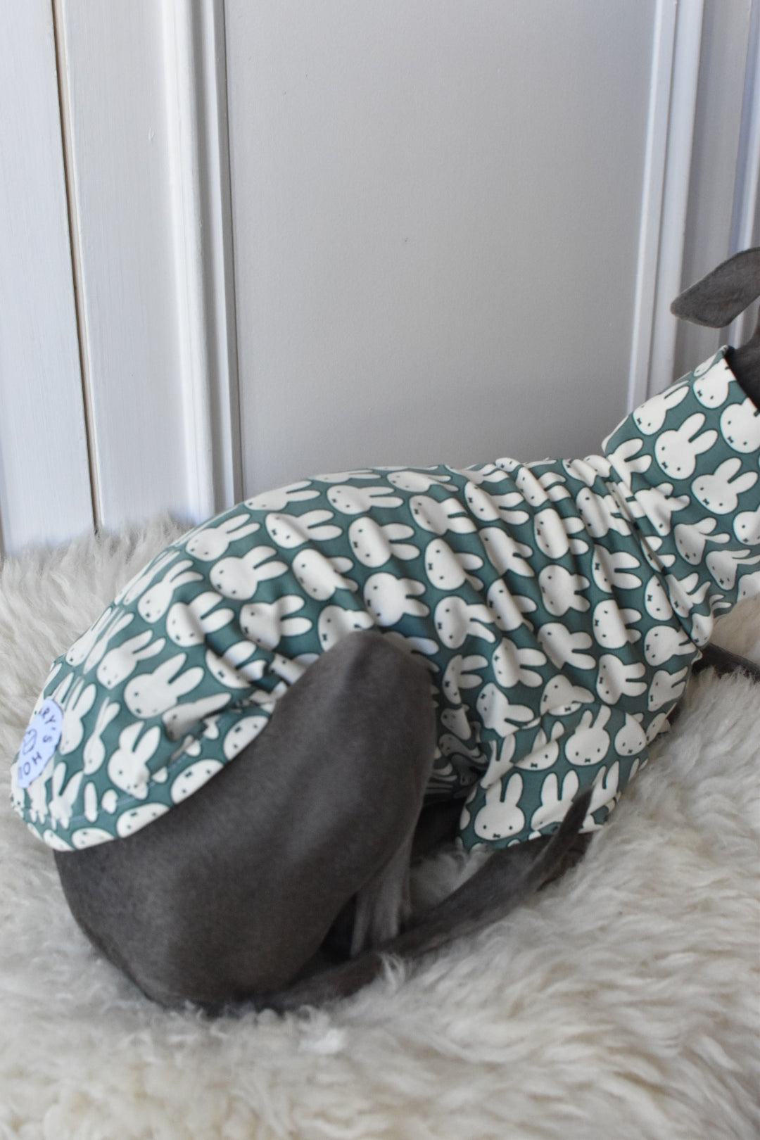 Ltd Edition Miffy Rabbit Jersey