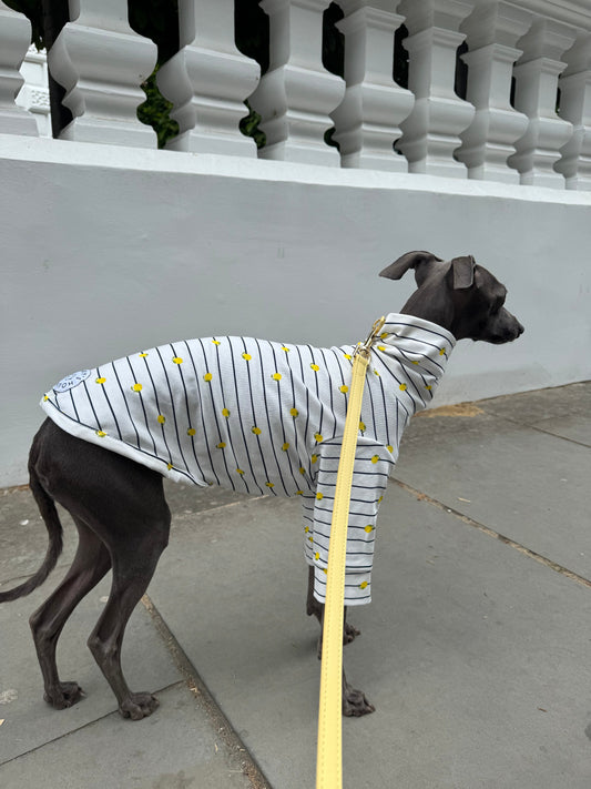 Italian Riviera- Striped Little Lemon Jersey