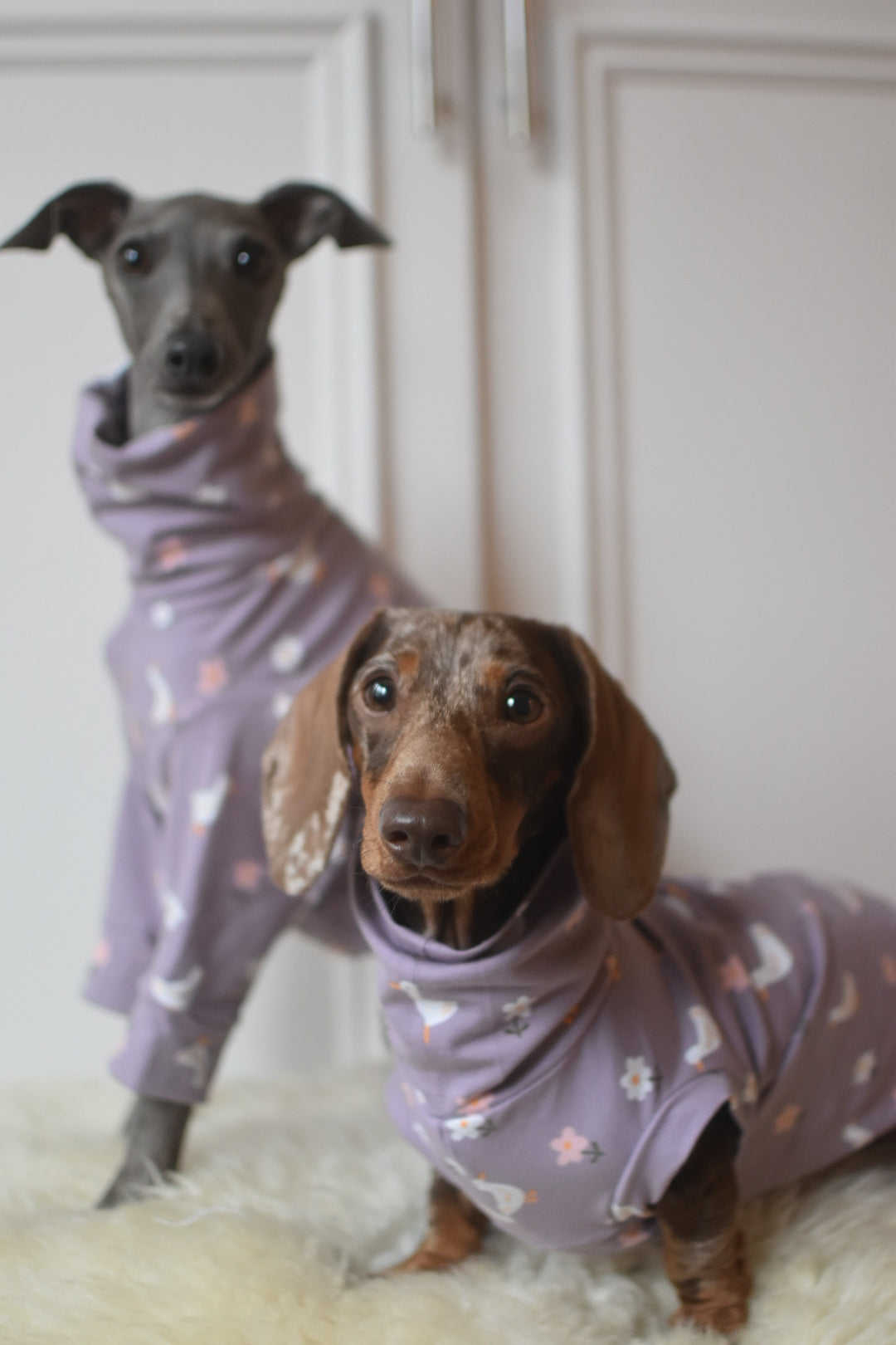 Silly Goose Lilac Jersey