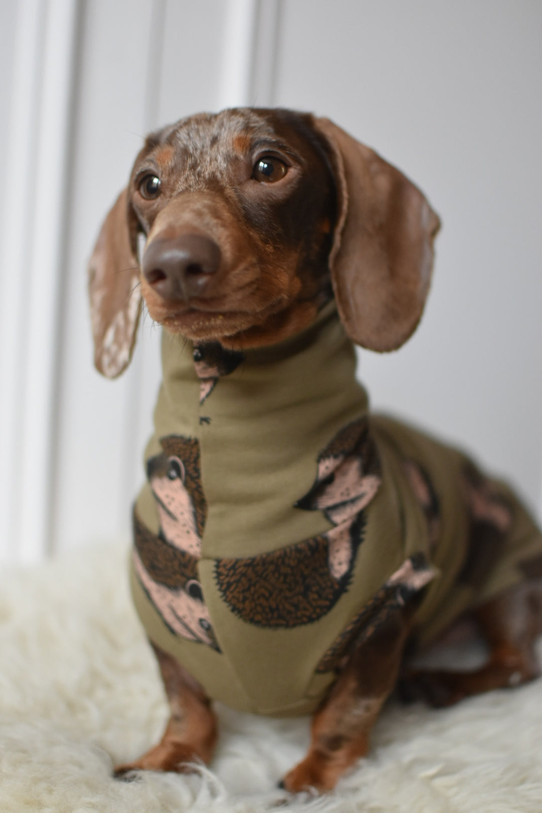 Jungle Jerseys ( Tiger, Bear, Hedgehog)