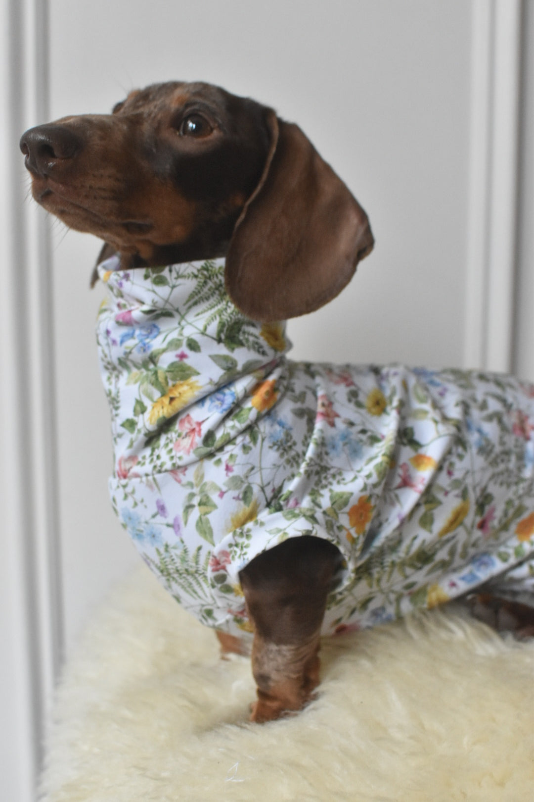 Spring Meadow Jersey