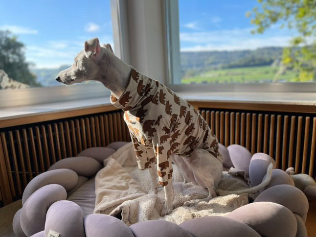 Jungle Jerseys ( Tiger, Bear, Hedgehog)