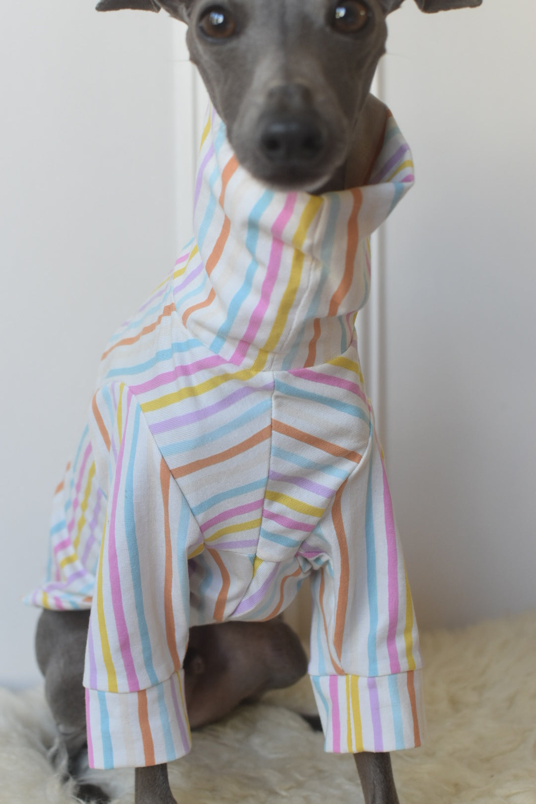 Pastel Stripe Jersey