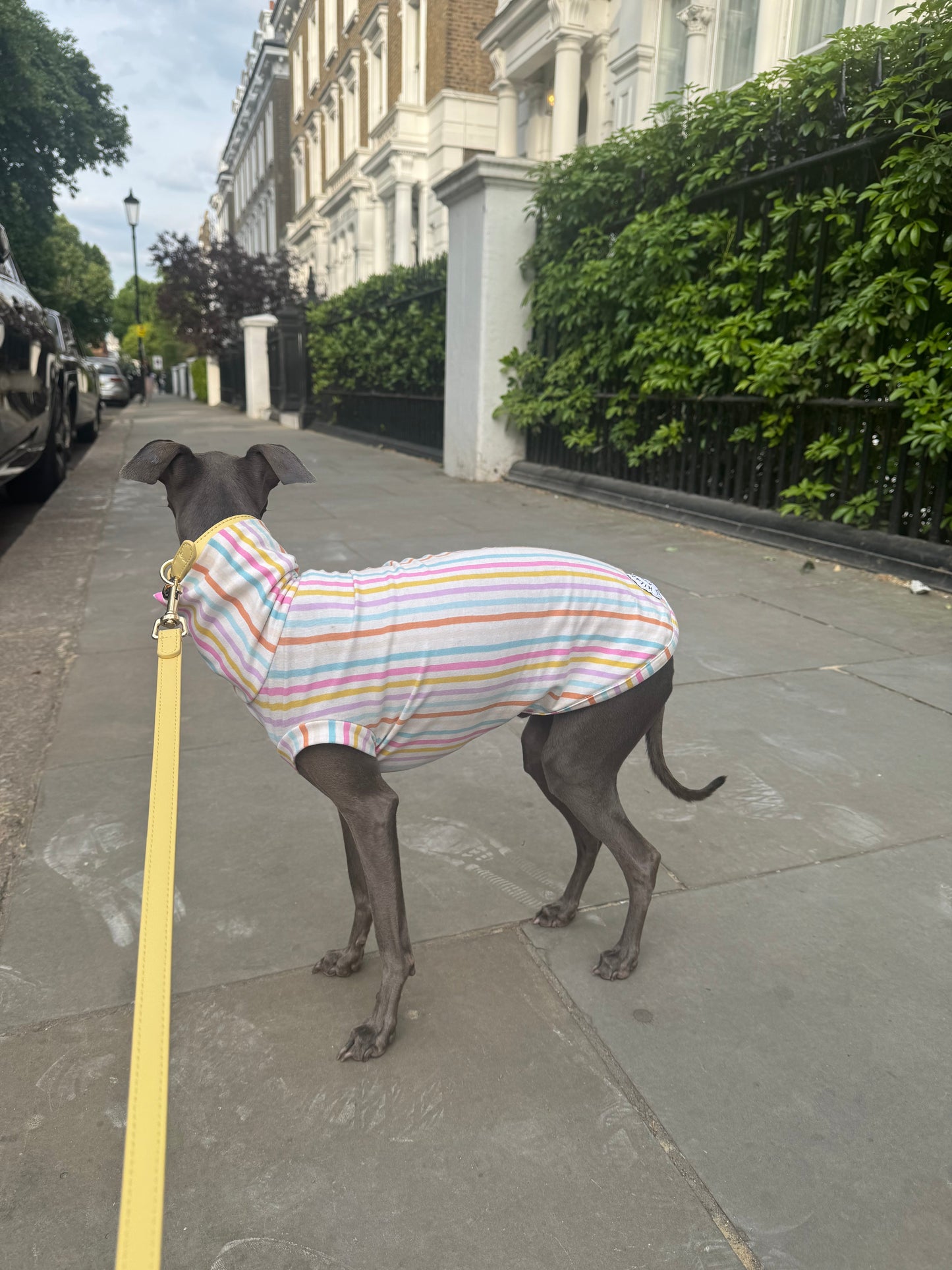 Pastel Stripe Jersey