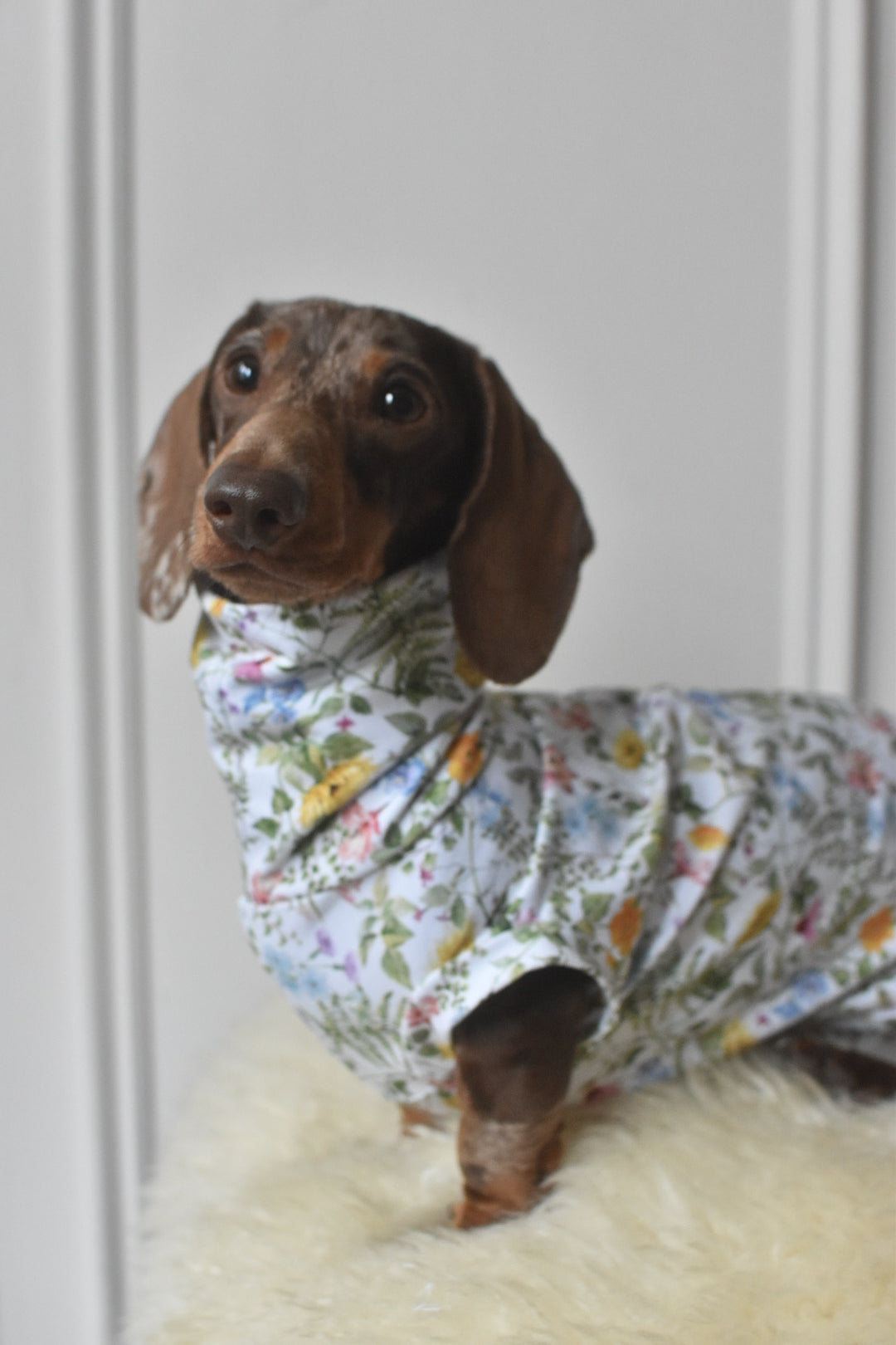 Spring Meadow Jersey