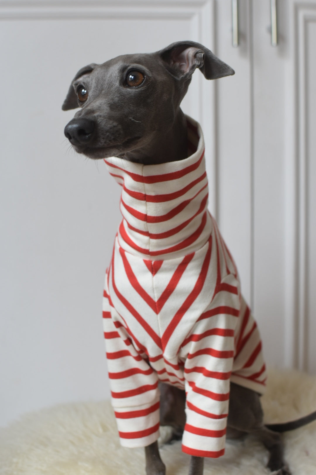 Red Breton Jersey