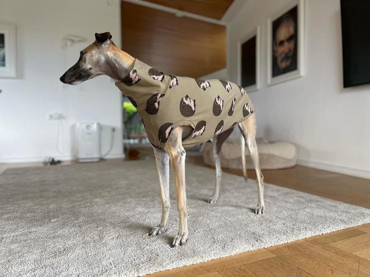 Jungle Jerseys ( Tiger, Bear, Hedgehog)