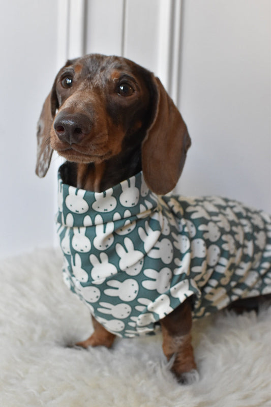 Ltd Edition Miffy Rabbit Jersey