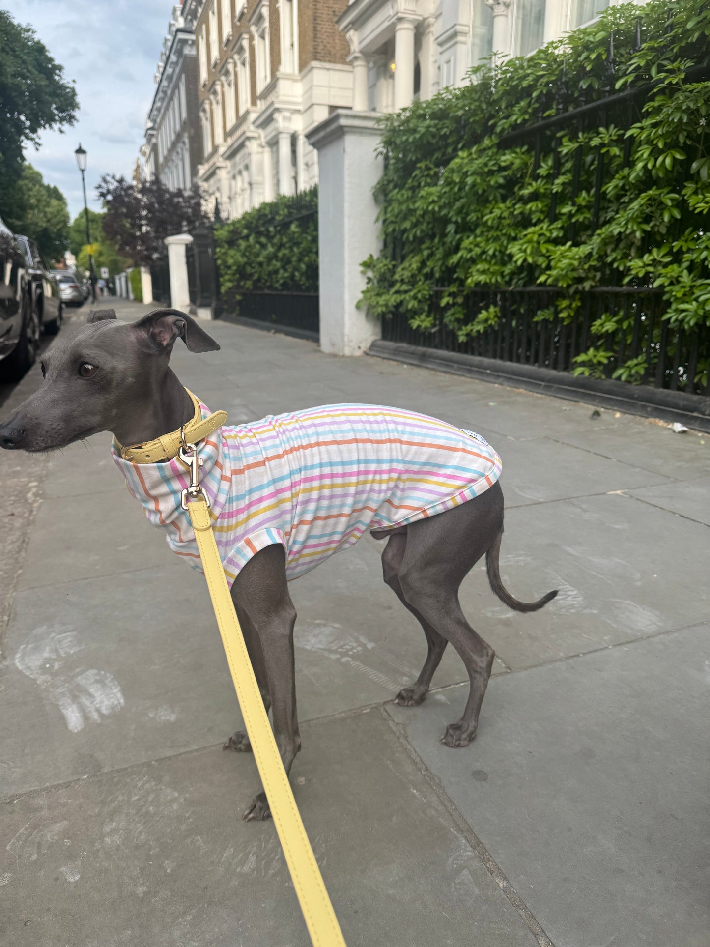 Pastel Stripe Jersey