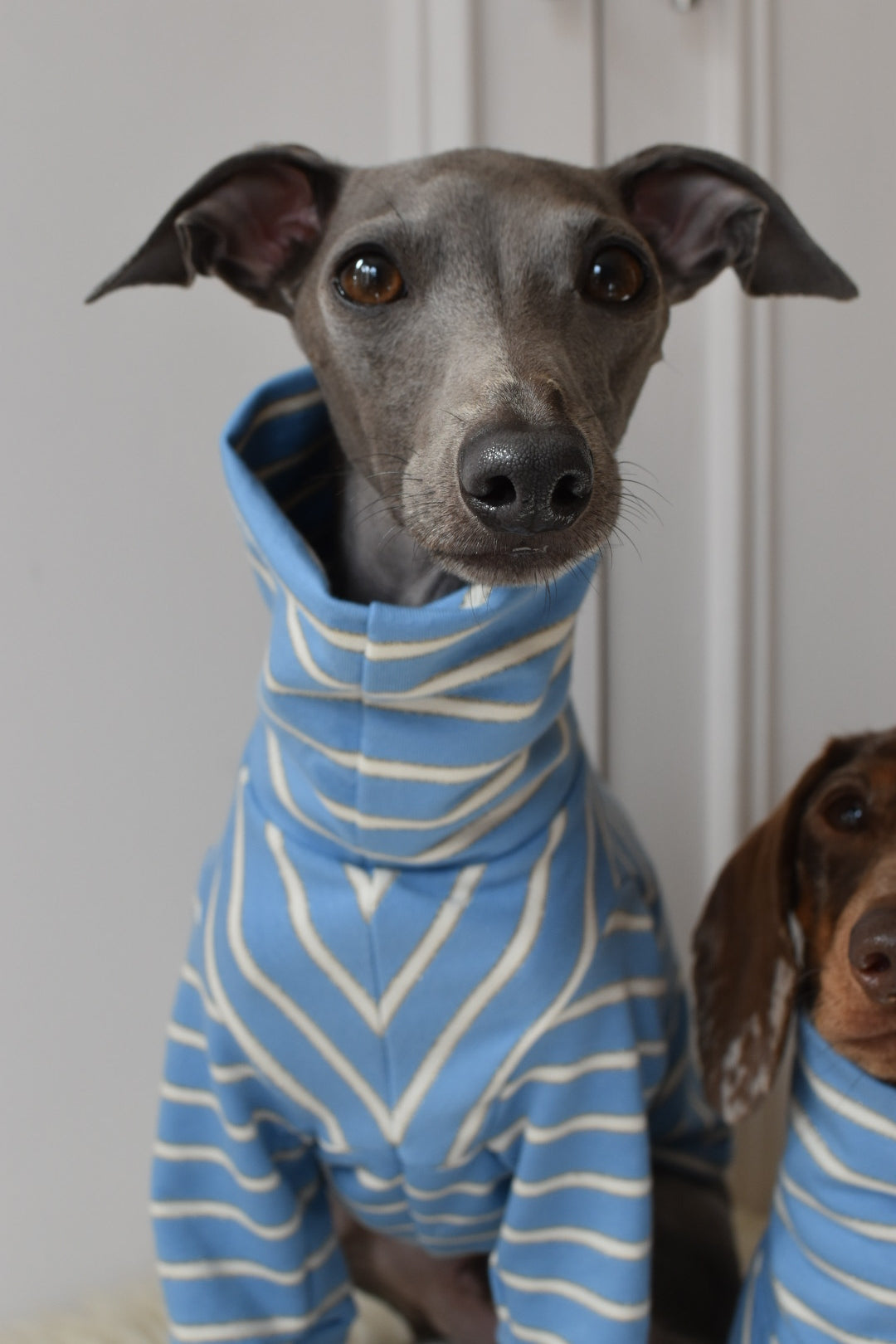 Sparkle Stripe Jersey