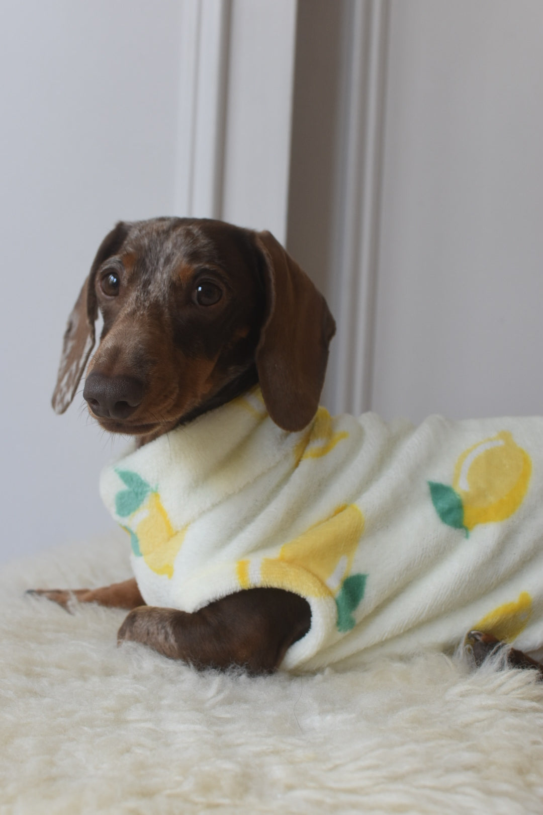 Italian Riviera- Lemon Fleece