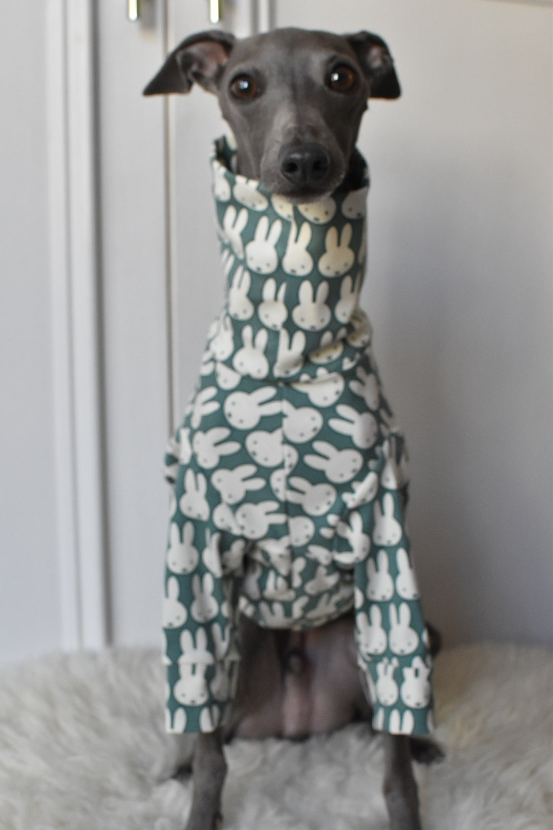 Ltd Edition Miffy Rabbit Jersey