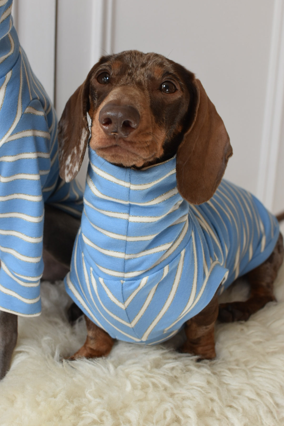 Sparkle Stripe Jersey