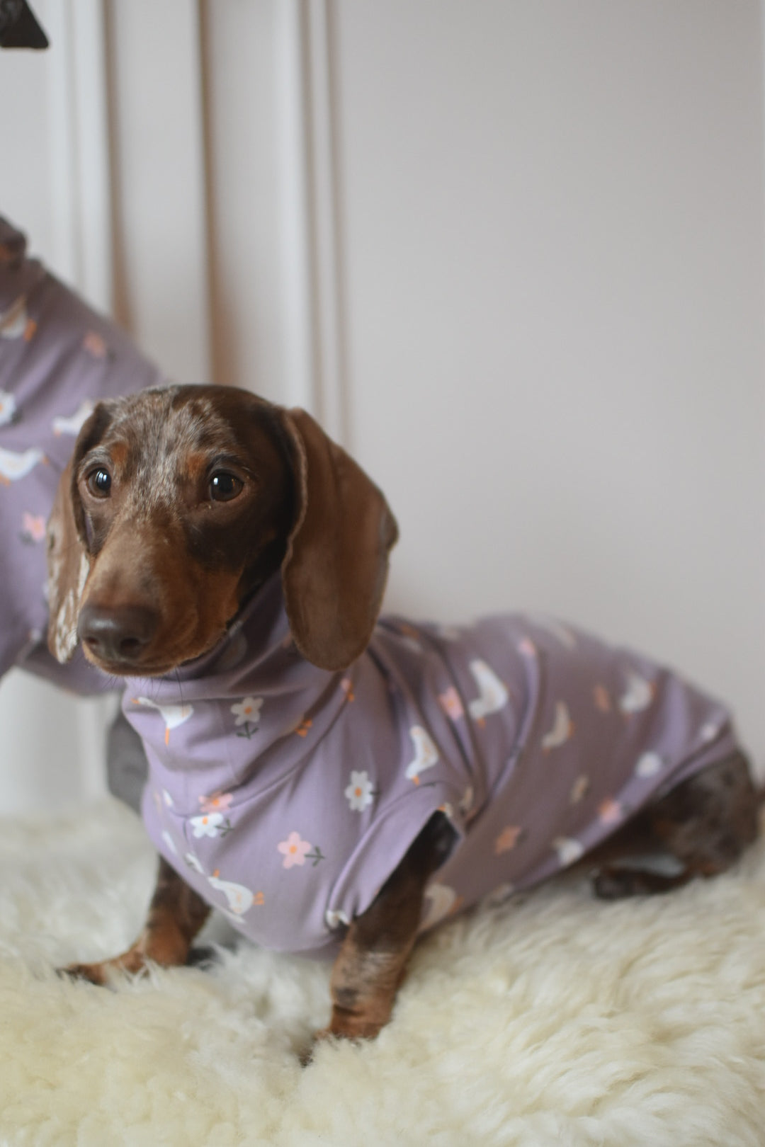 Silly Goose Lilac Jersey