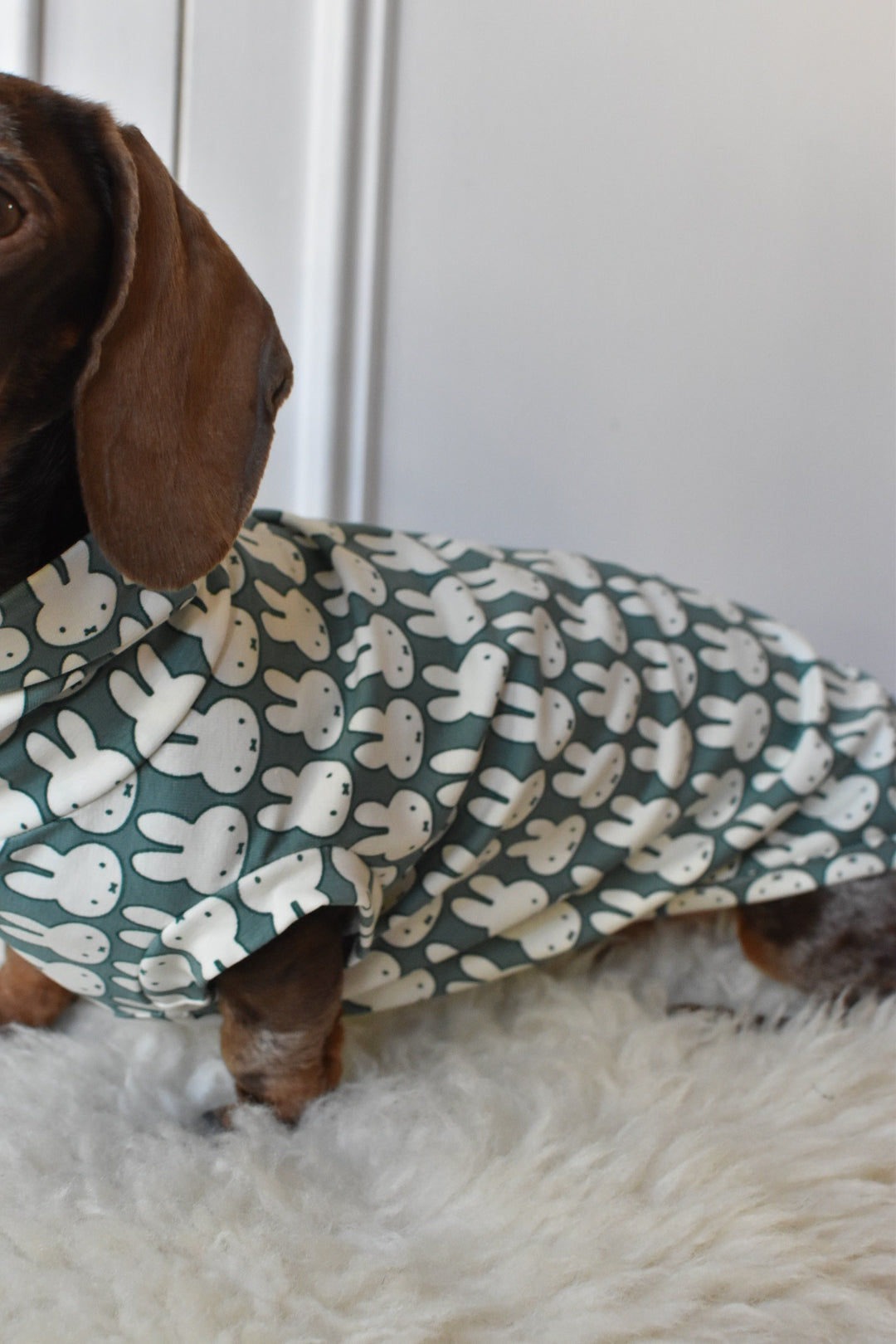 Ltd Edition Miffy Rabbit Jersey