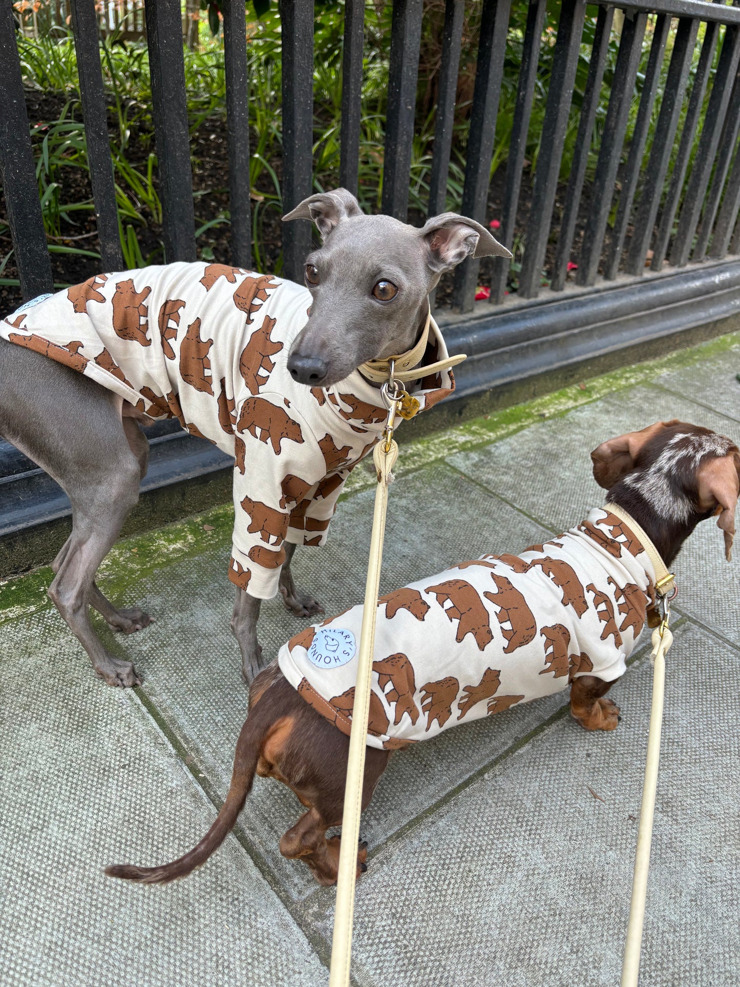 Jungle Jerseys ( Tiger, Bear, Hedgehog)