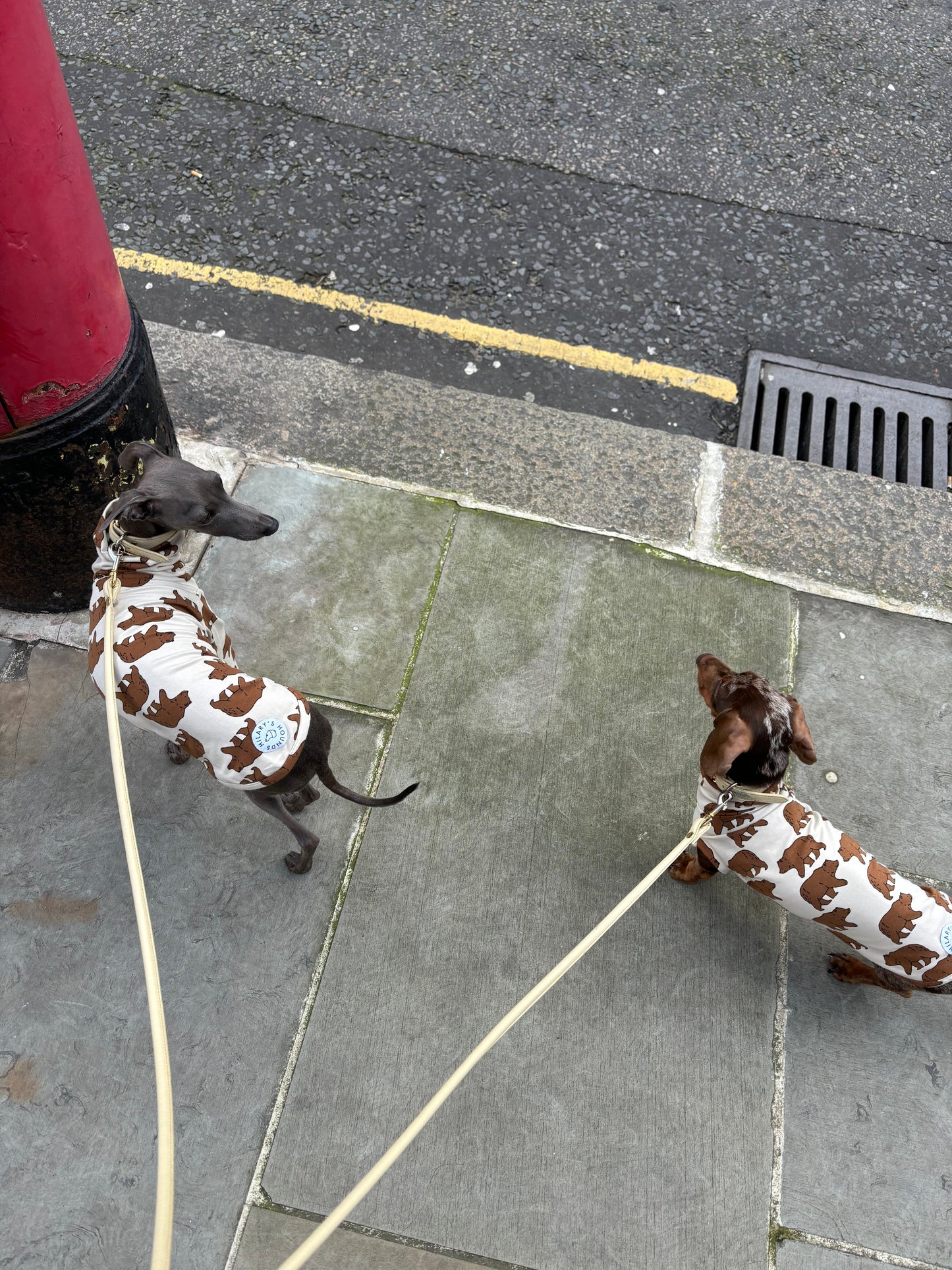 Jungle Jerseys ( Tiger, Bear, Hedgehog)