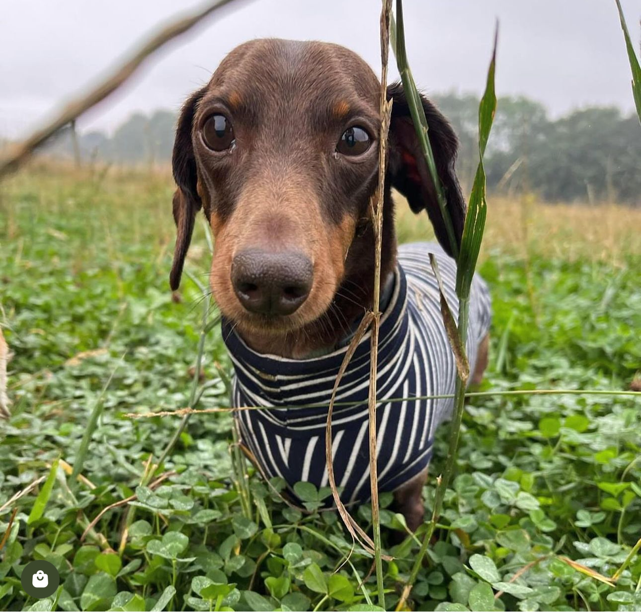 Oh La La Navy Stripe Jersey
