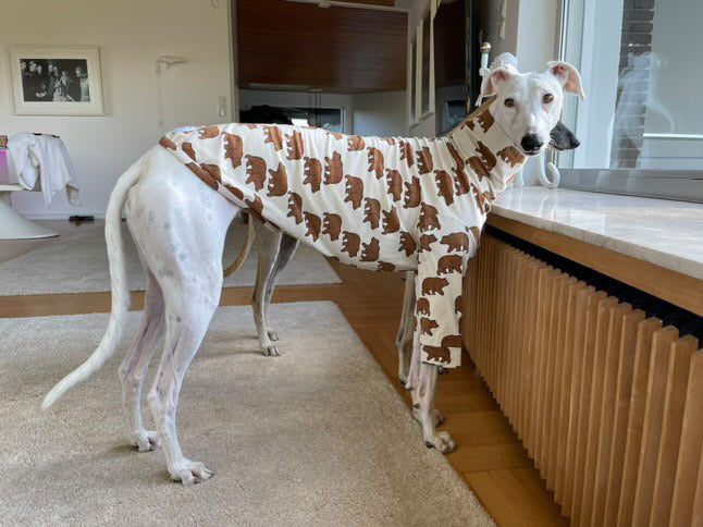 Jungle Jerseys ( Tiger, Bear, Hedgehog)