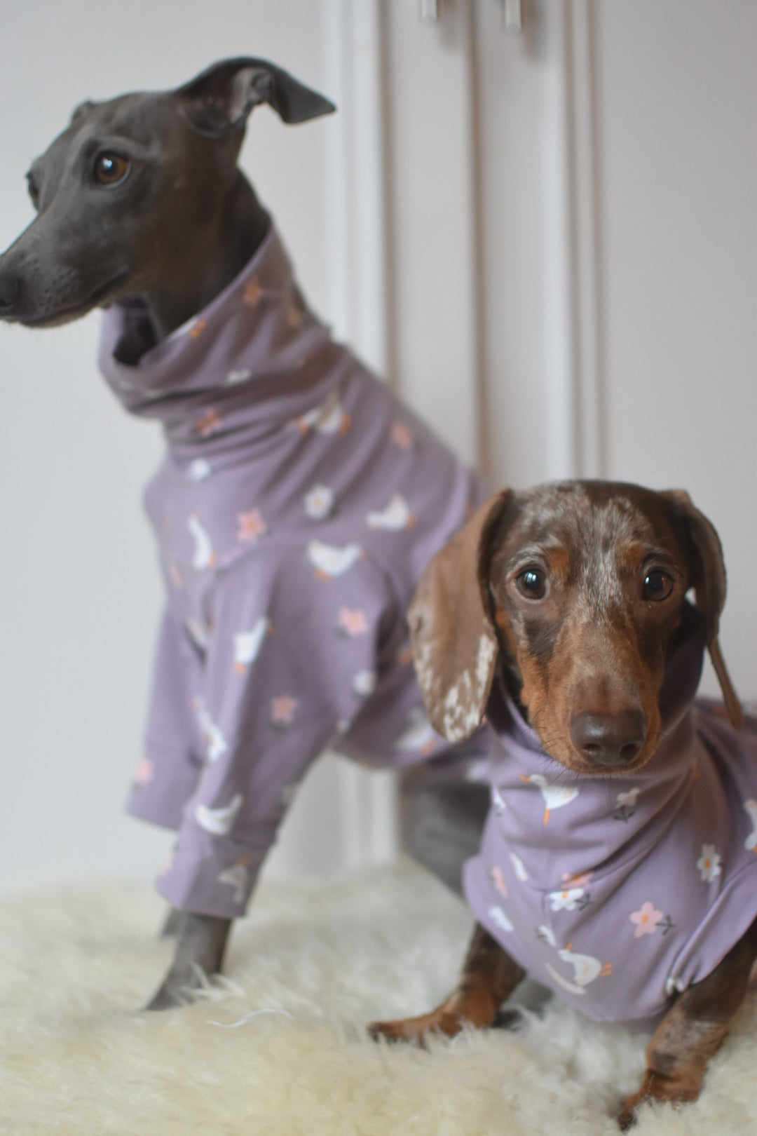 Silly Goose Lilac Jersey