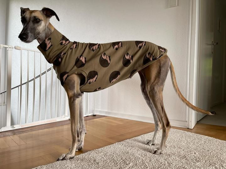 Jungle Jerseys ( Tiger, Bear, Hedgehog)