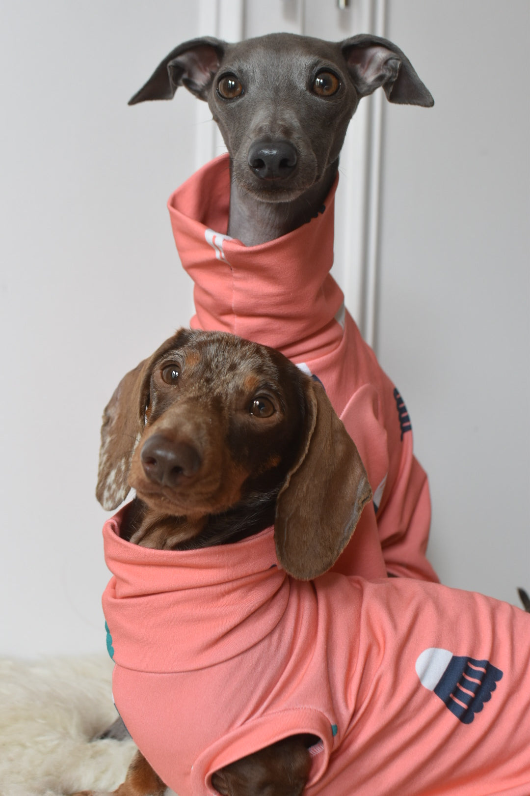 Sports Series Jersey 🎾 🏸