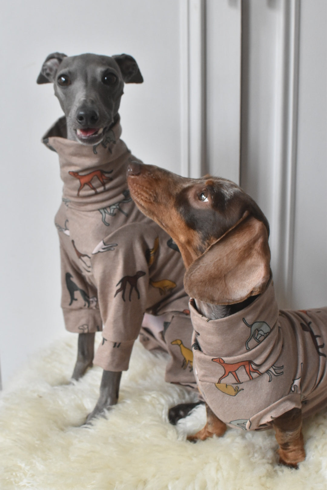 Sighthound Jersey