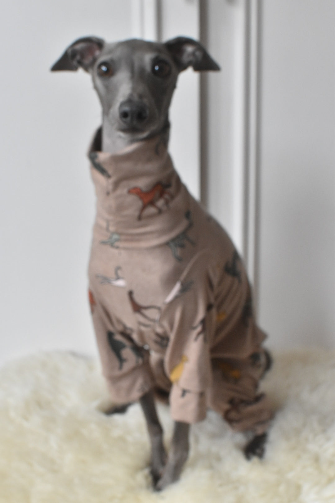 Sighthound Jersey