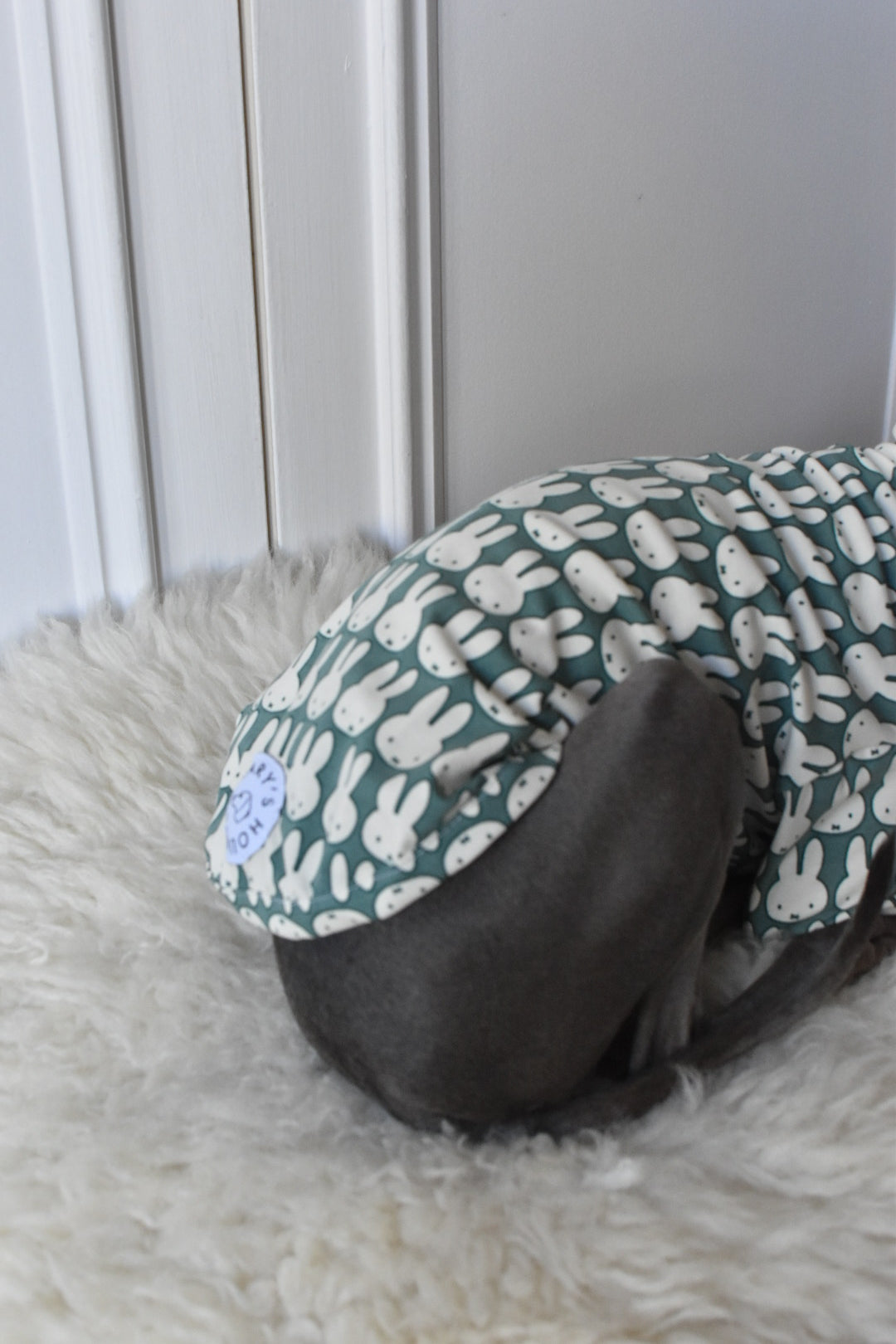 Ltd Edition Miffy Rabbit Jersey