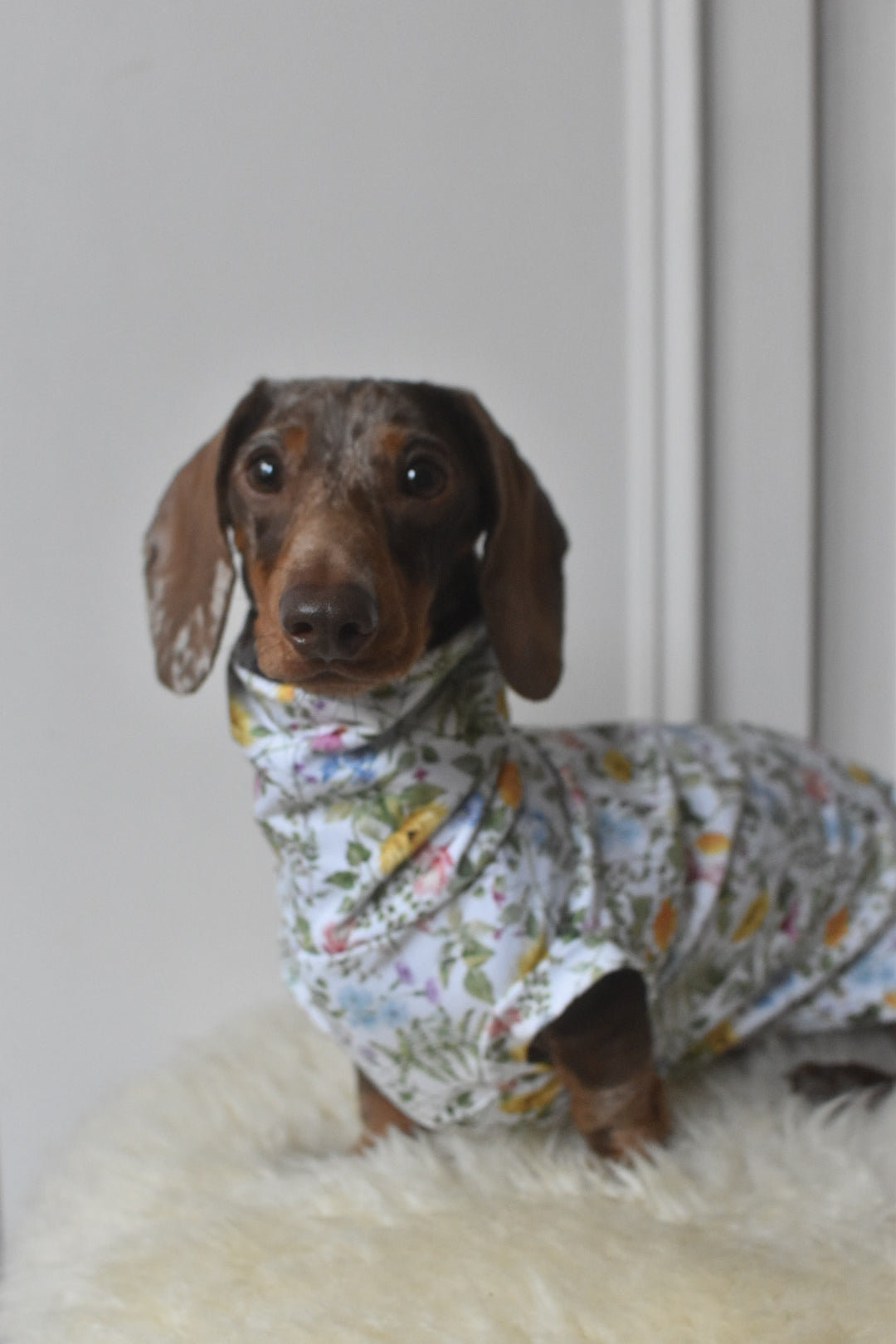 Spring Meadow Jersey