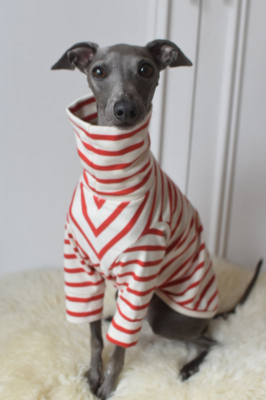 Red Breton Jersey