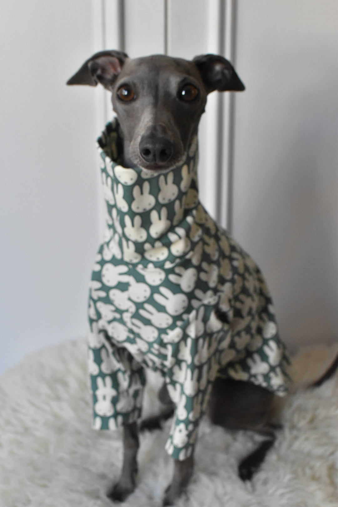 Ltd Edition Miffy Rabbit Jersey